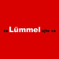 Flash banner Lümmel